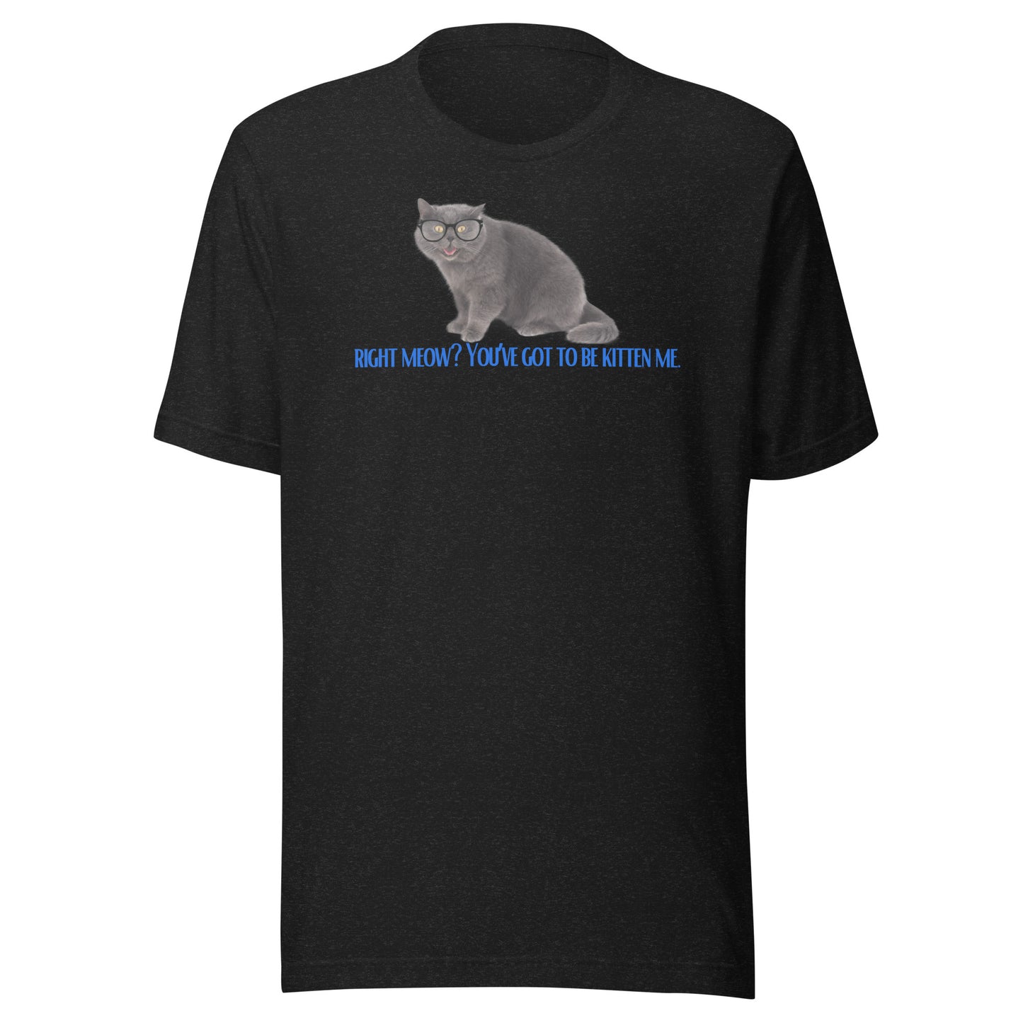 Right Meow? Tee