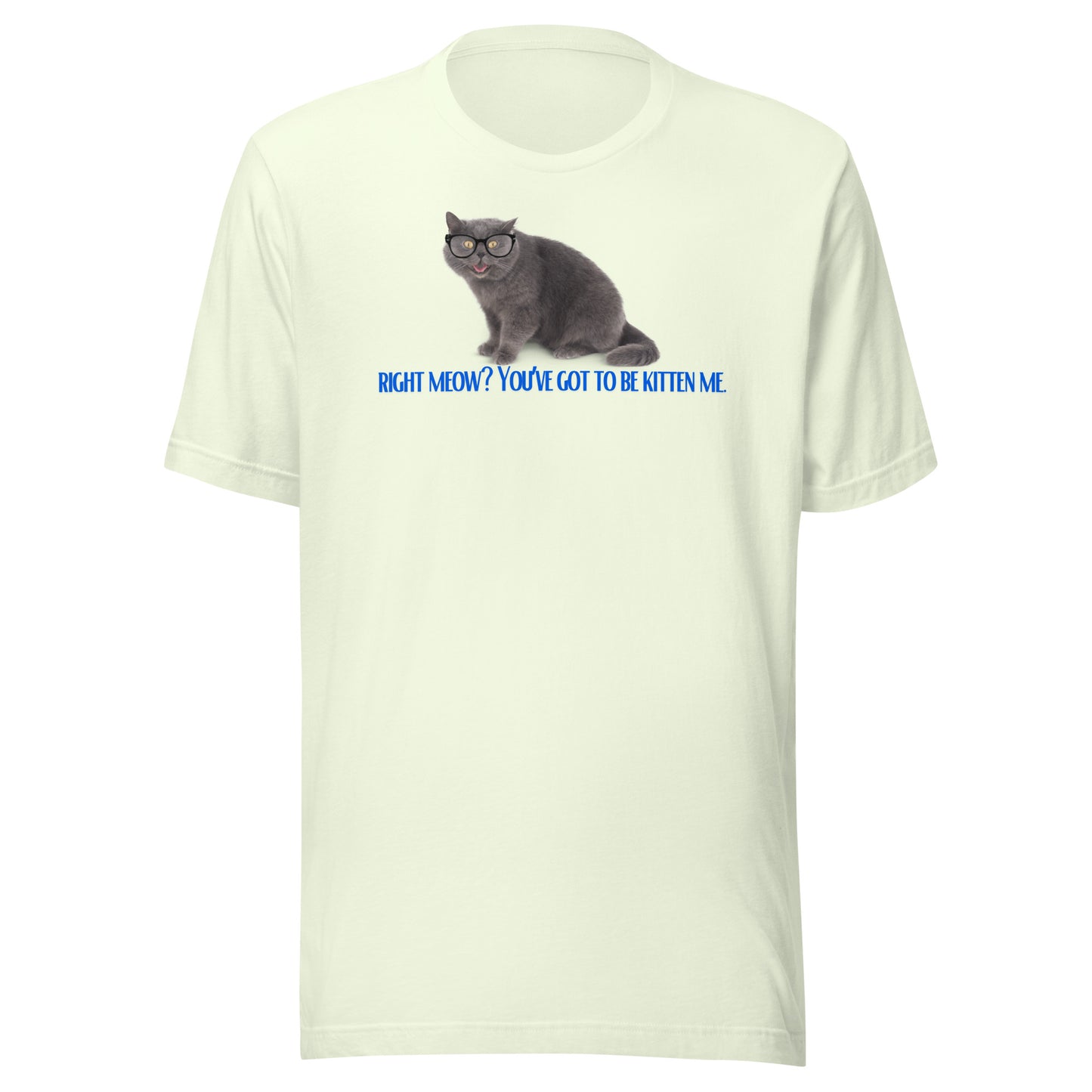 Right Meow? Tee