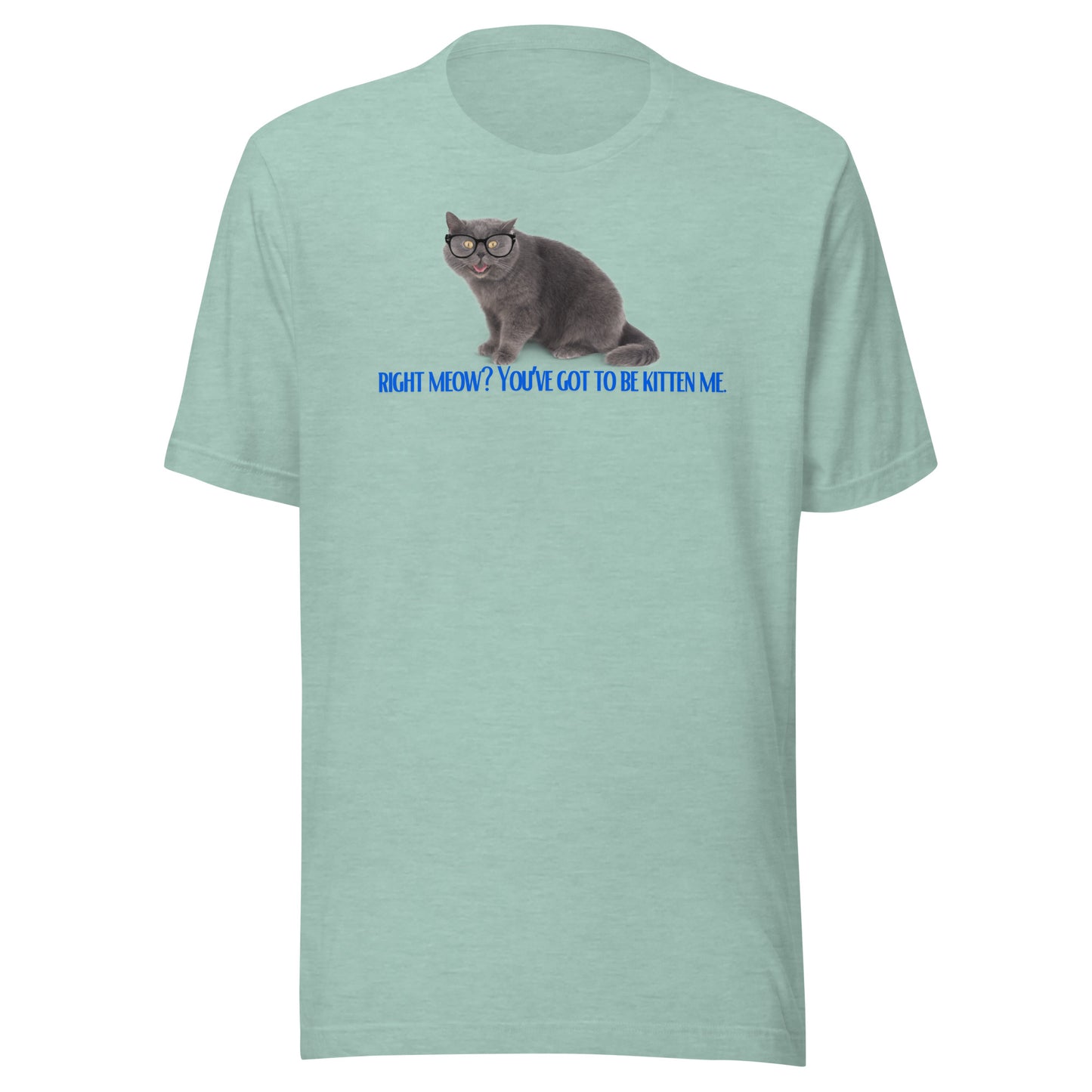 Right Meow? Tee