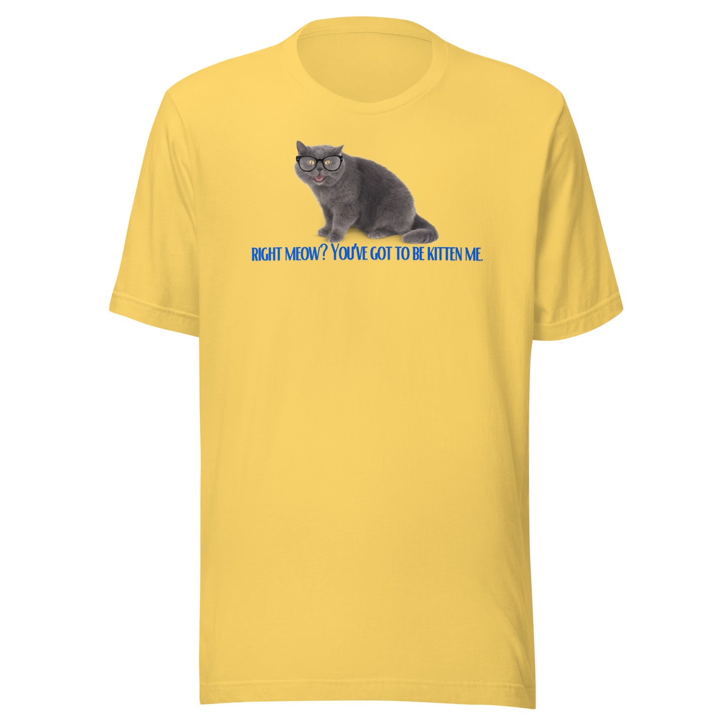 Right Meow? Tee